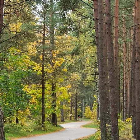 Gamtos Simfonija Palanga