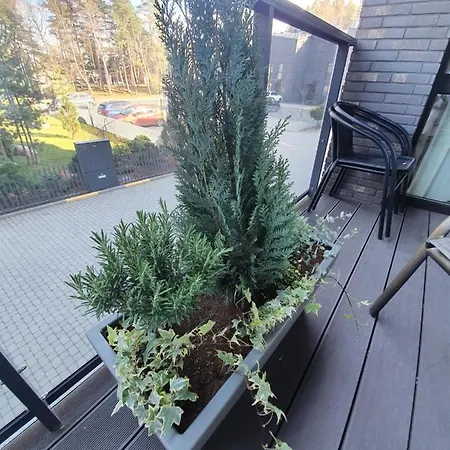 Gamtos Simfonija Palanga