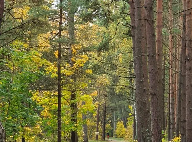 Gamtos Simfonija Palanga