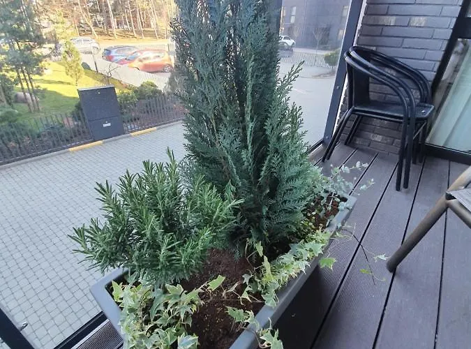 Gamtos Simfonija Palanga