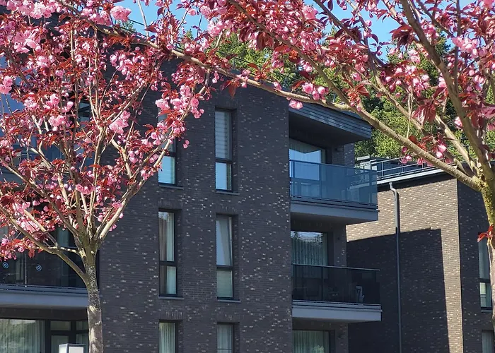 Gamtos Simfonija Апартаменти Паланга